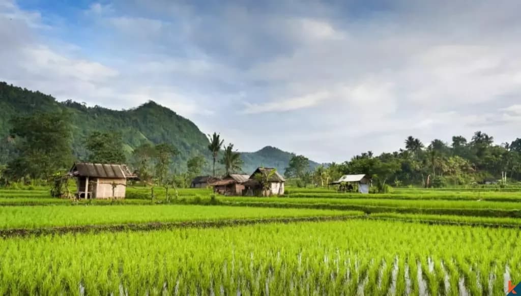 2000 m² Land Plot for Sale in Karangasem, Bali — photo 2