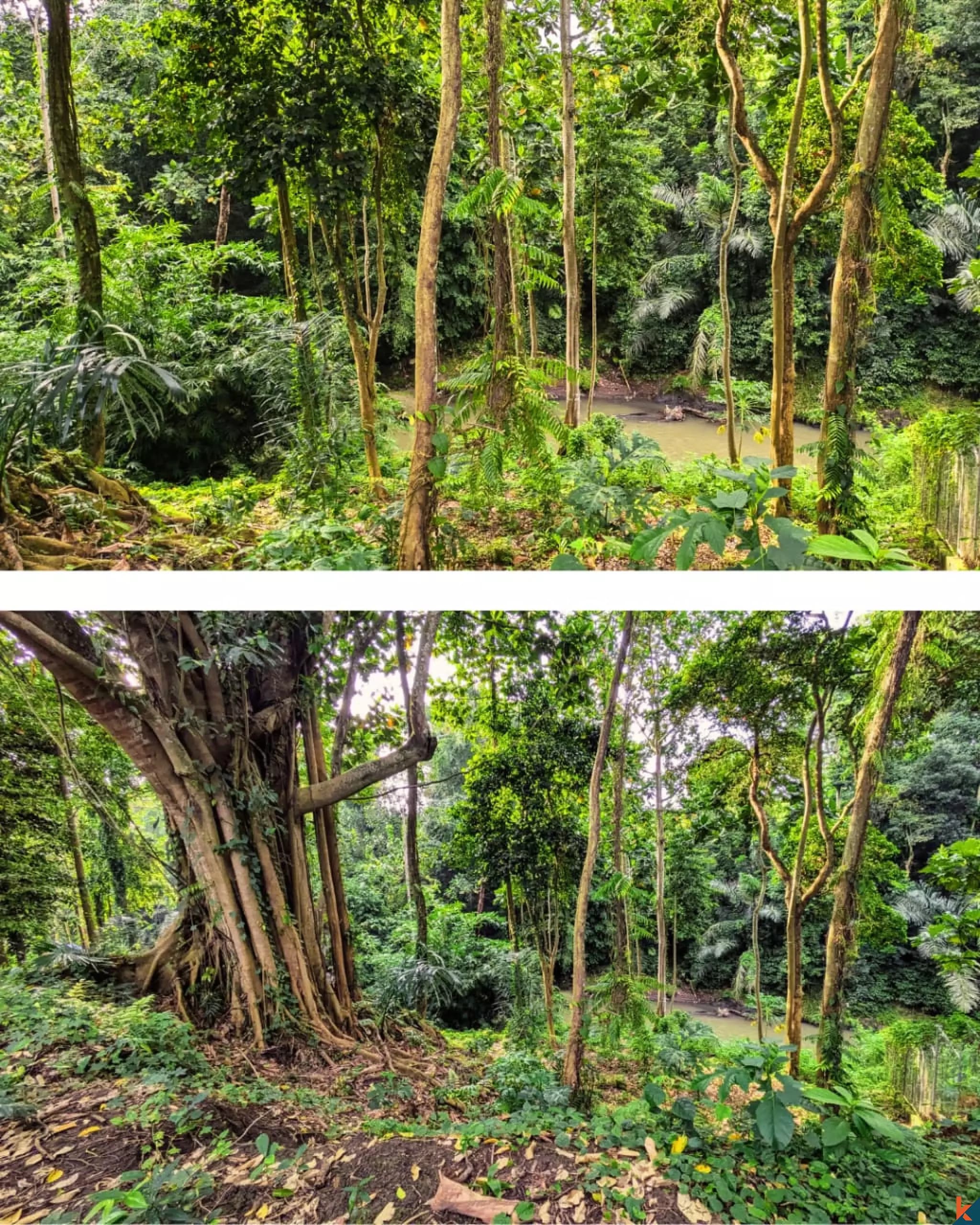 3300 m² Land Plot for Sale in Tabanan, Bali — photo 1