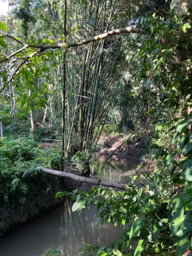 680 m² Land Plot for Sale in Pererenan, Bali — photo 2