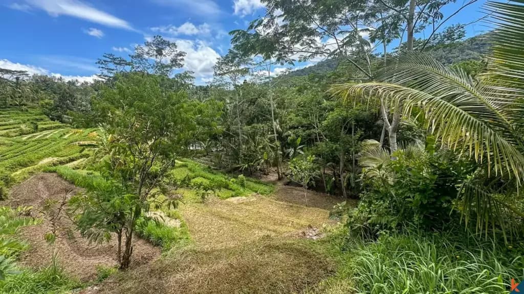 2700 m² Land Plot for Sale in Sidemen, Bali — photo 2