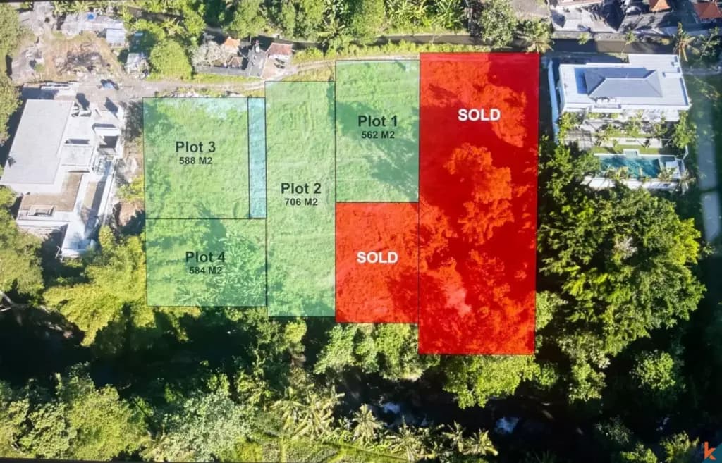 3000 m² Land Plot for Sale in Cepaka, Bali — photo 2