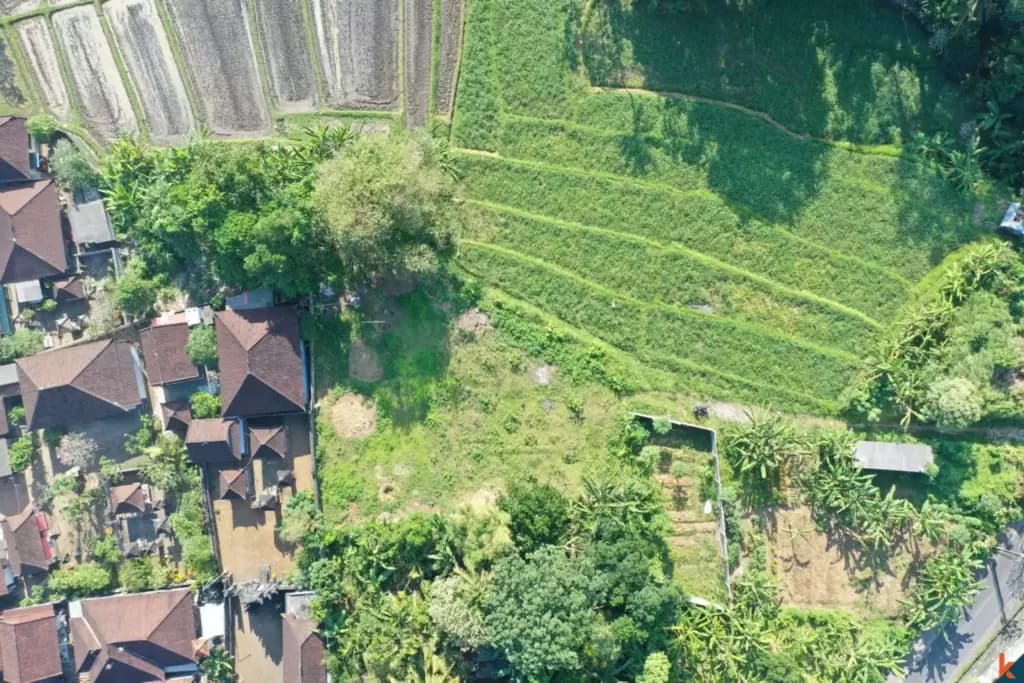 911 m² Land Plot for Sale in Pererenan, Bali — photo 2