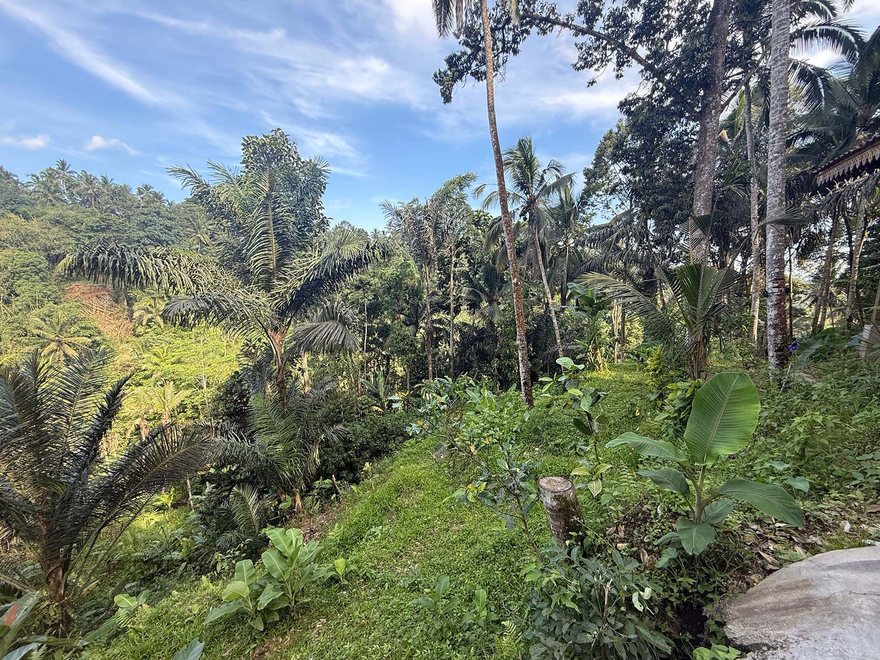 300 m² Land Plot for Sale in Pakudui, Bali — photo 1