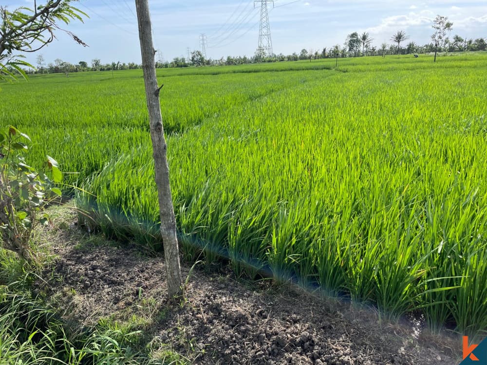 2800 m² Land Plot for Sale in Tabanan, Bali