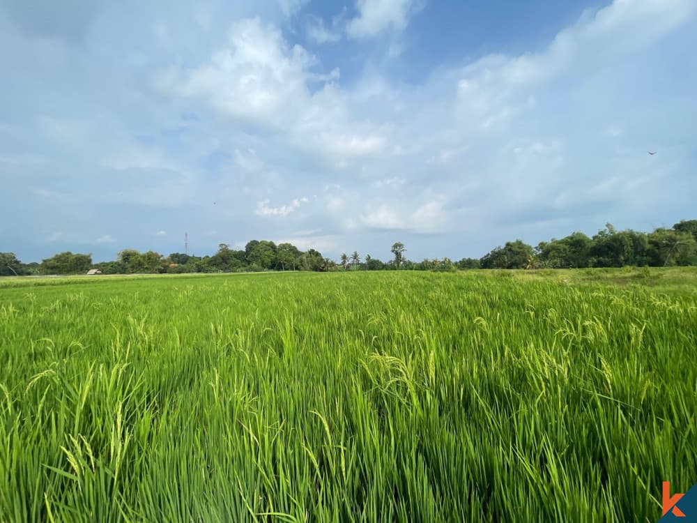 2800 m² Land Plot for Sale in Kedungu, Bali