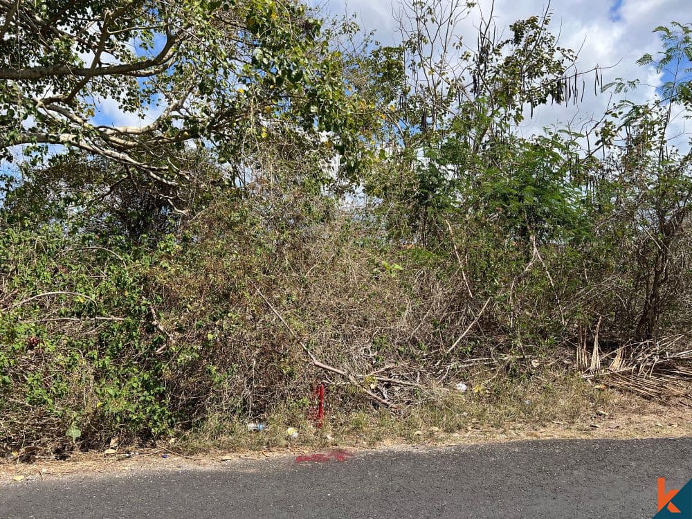 5000 m² Land Plot for Sale in Ungasan, Bali