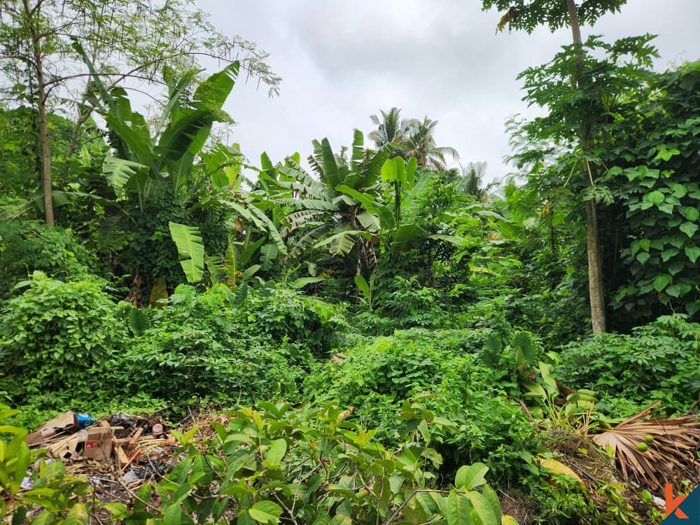 585 m² Land Plot for Sale in Mengwi, Bali