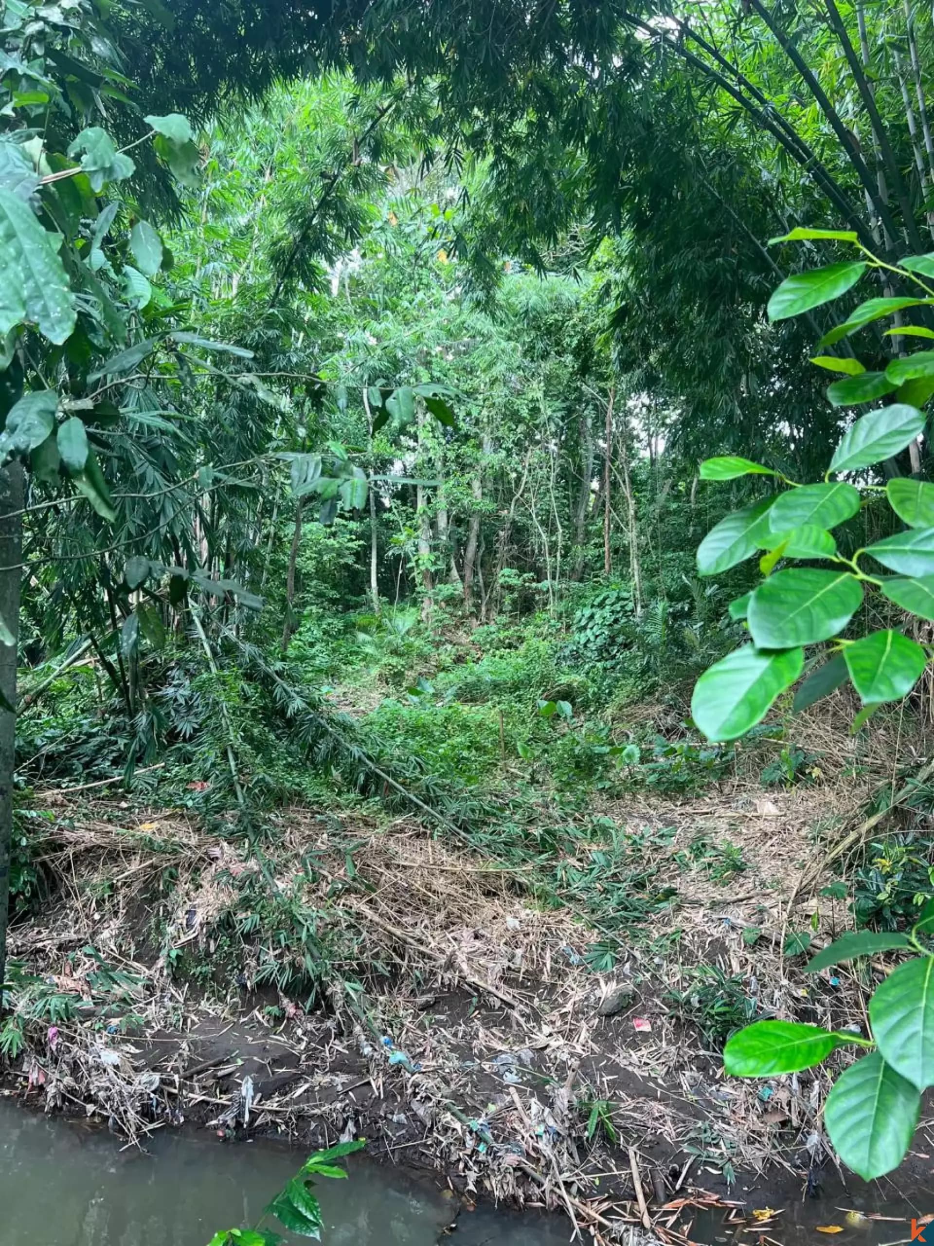 680 m² Land Plot for Sale in Pererenan, Bali