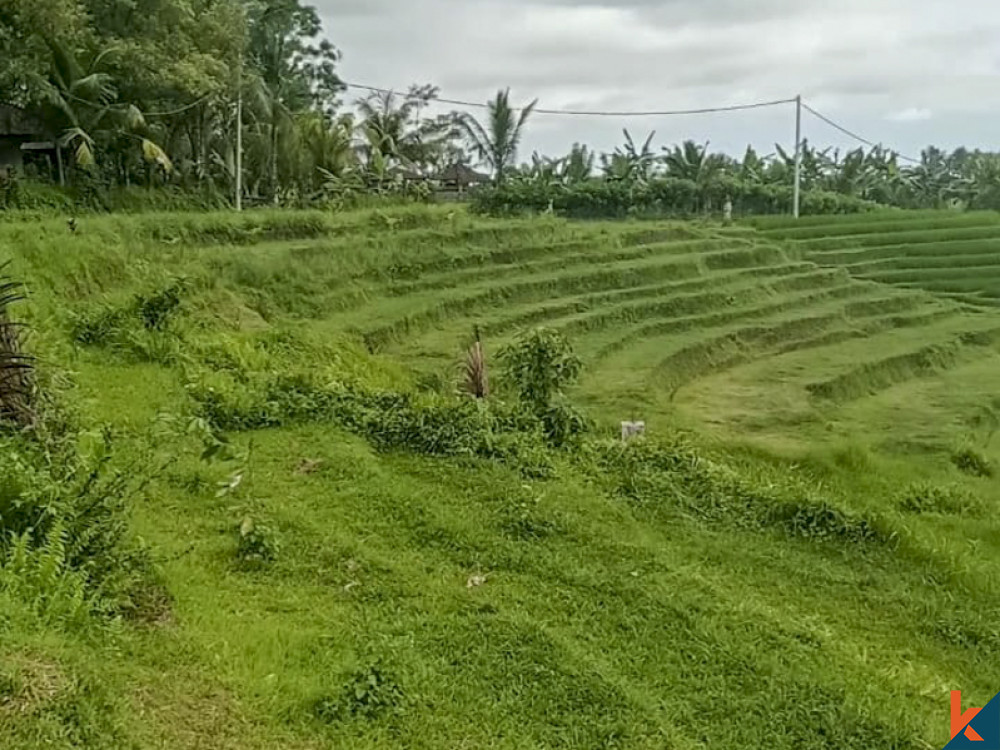 Bali Villa Construction - 2021 Property 61bc3f8b0dae5