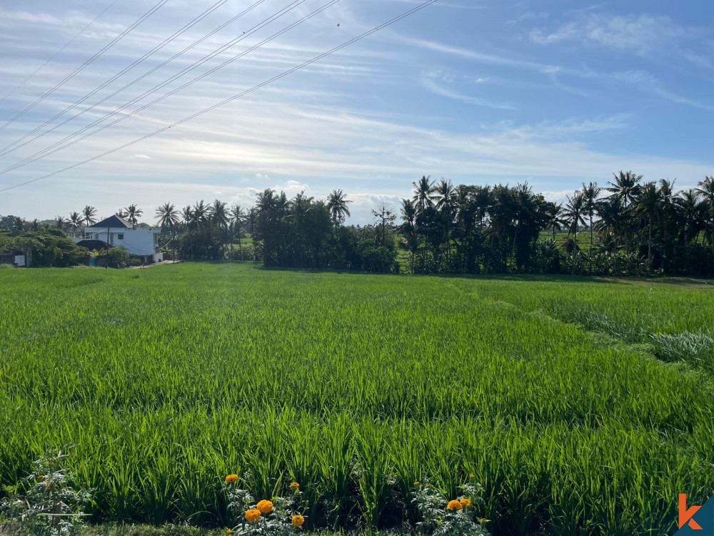 Bali Villa Construction - 2023 Property 64e419adbbf2b