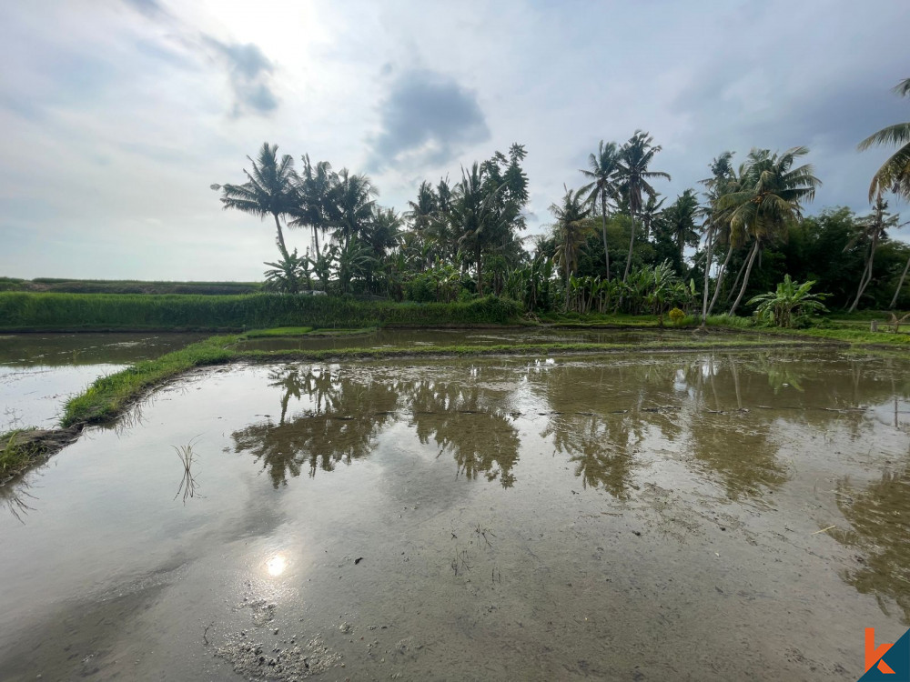 Bali Villa Construction - 2024 Property 65d6a81da5107