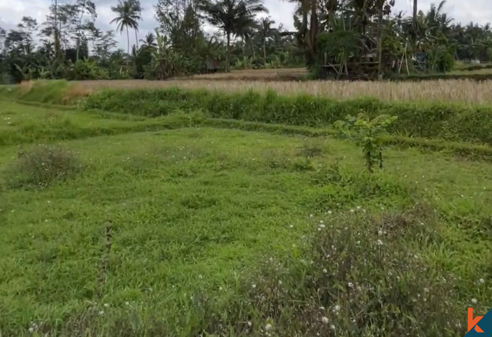Bali Villa Construction - 2024 Property 672c3c4f42b90