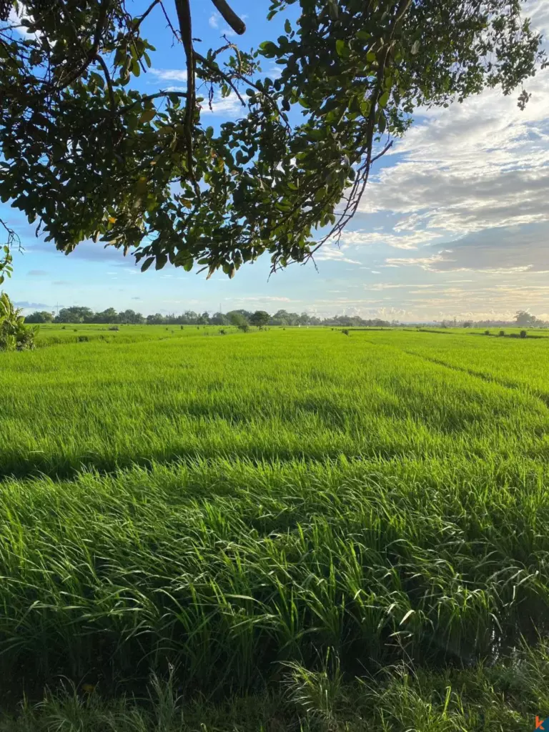 Bali Villa Construction - 2024 Propertya Scaled