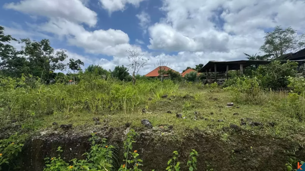 Bali Villa Construction - 2025 Property 67d7981d2e468