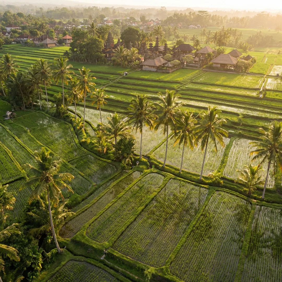 🌿 800m² Land | Seseh | $295,567

Seseh's rice terrace views aren't just aesthetic—they signal stabl