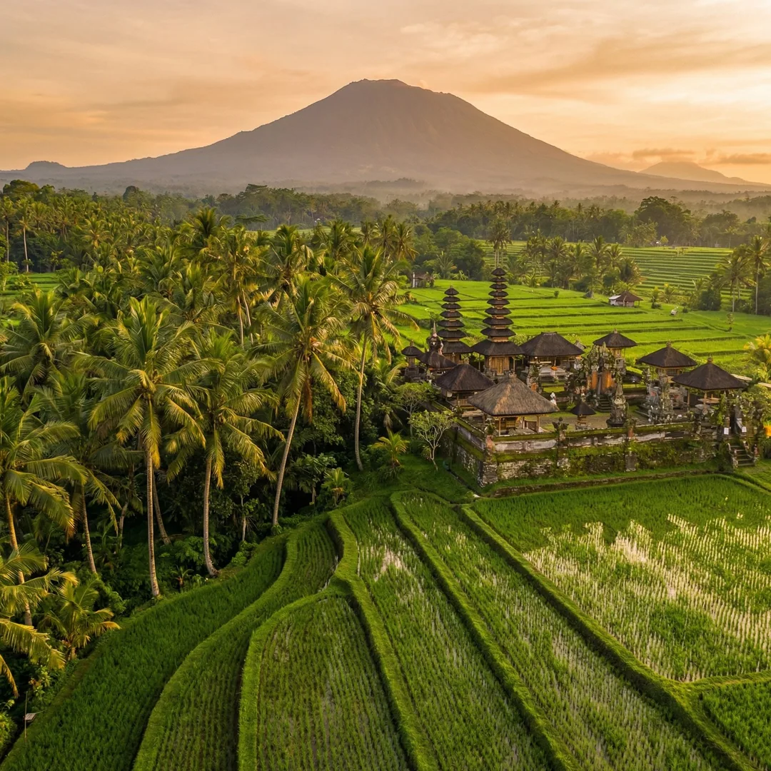 Bamboo construction in Bali demands rigorous adherence to structural load standards and treatment co