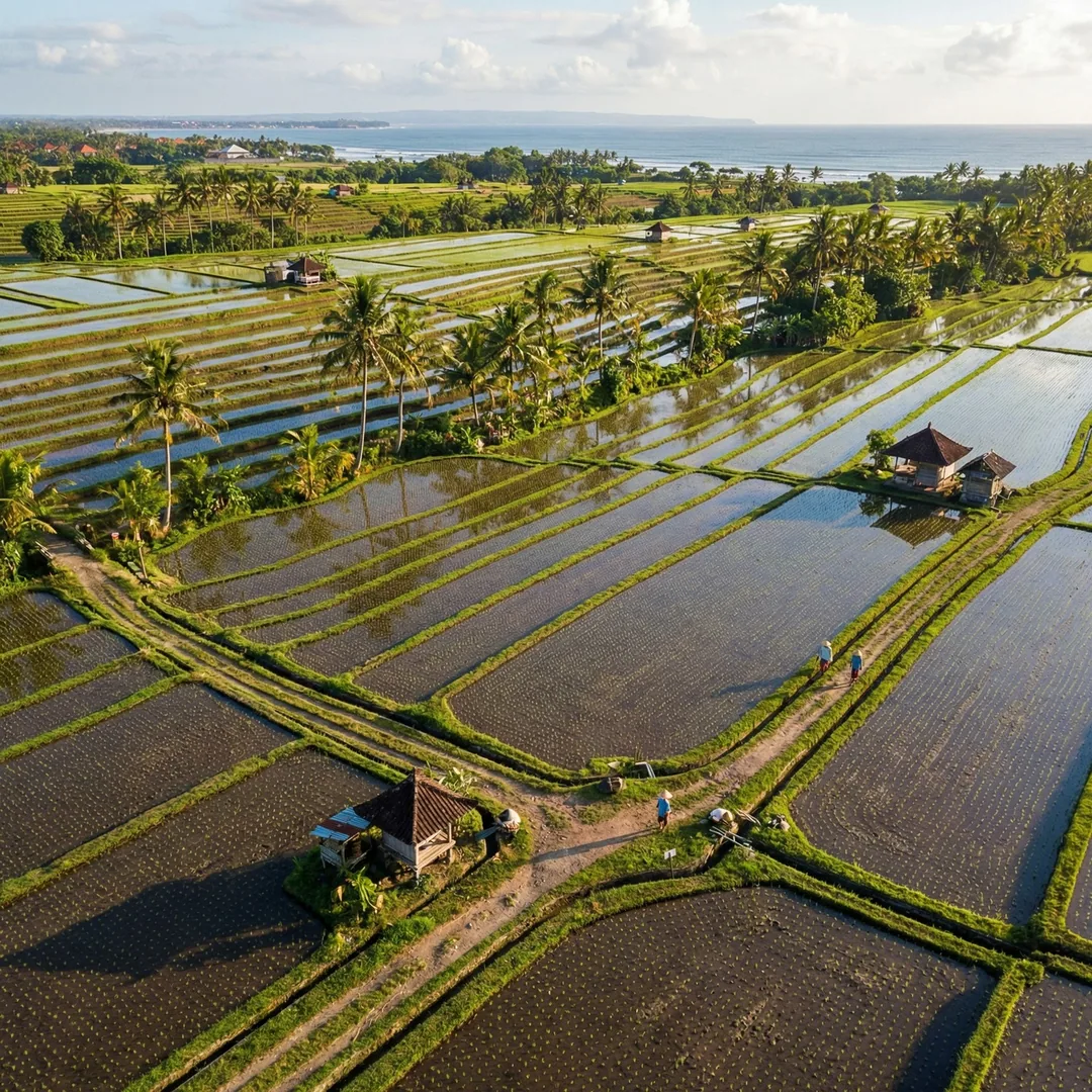 🌾 2,680m² Pererenan Land | Retreat Development Potential

Expansive rice field buffer plot with est