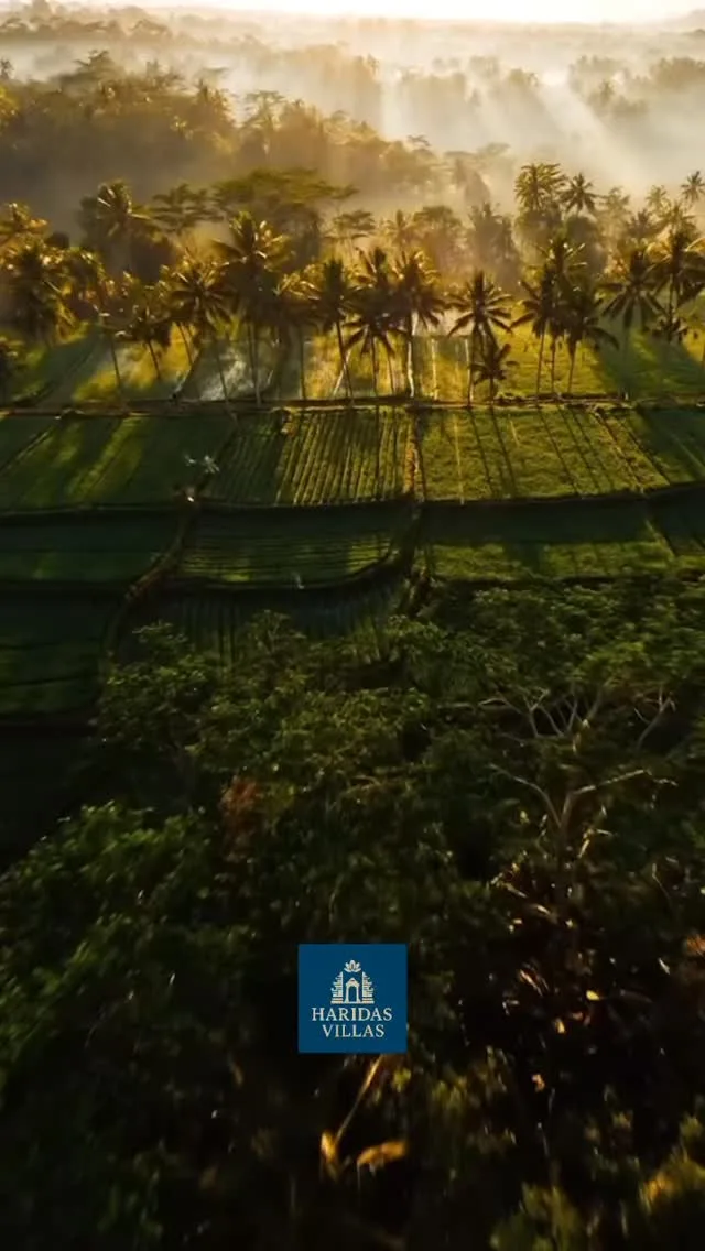 Bali isn’t just a destination — it’s a lifestyle.
Peaceful mornings, rice fields, and investment returns that actually m