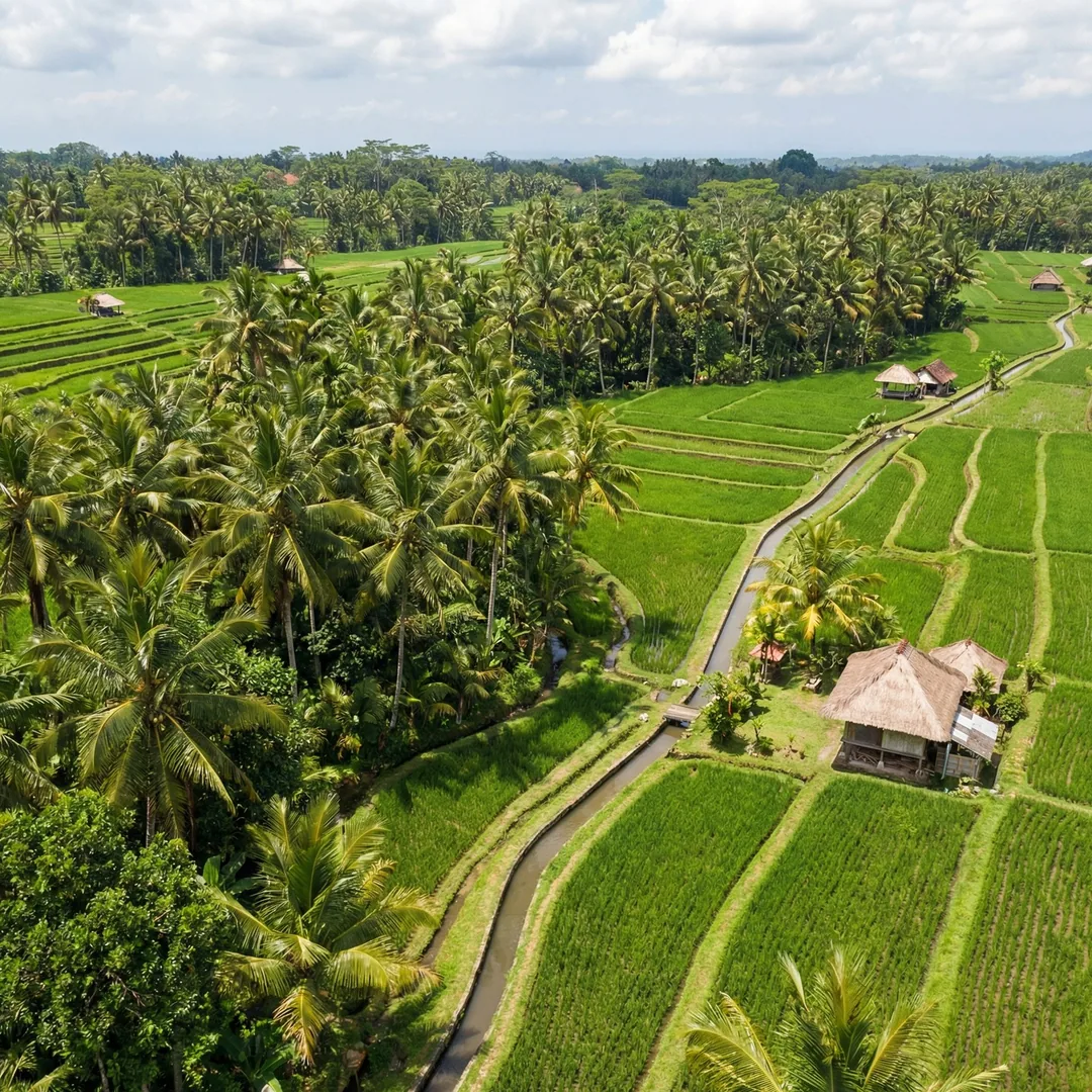 🏗️ Canggu Land 2,200m²

At Teville, we deliver structural durability and verified zoning for every 