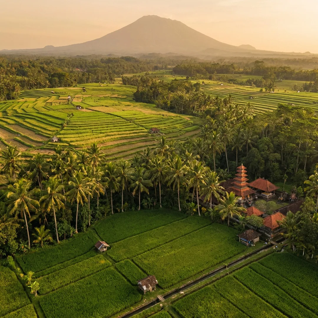 Termite damage costs 10-15x more to remediate than preventive soil treatment. In Gianyar's humid cli