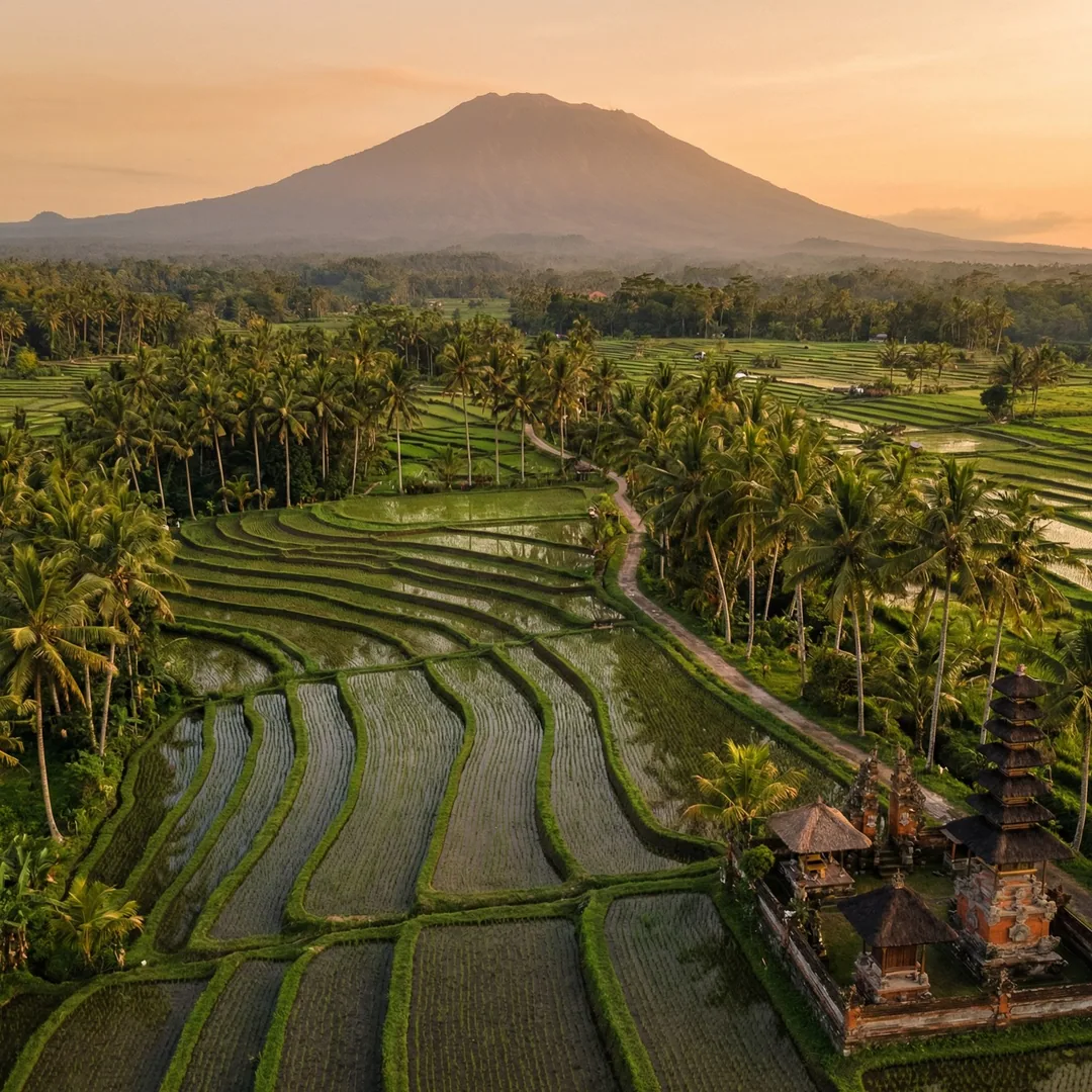 Pivot door hardware isn't just aesthetic—it's structural engineering. In Bali's humid, salt-laden en