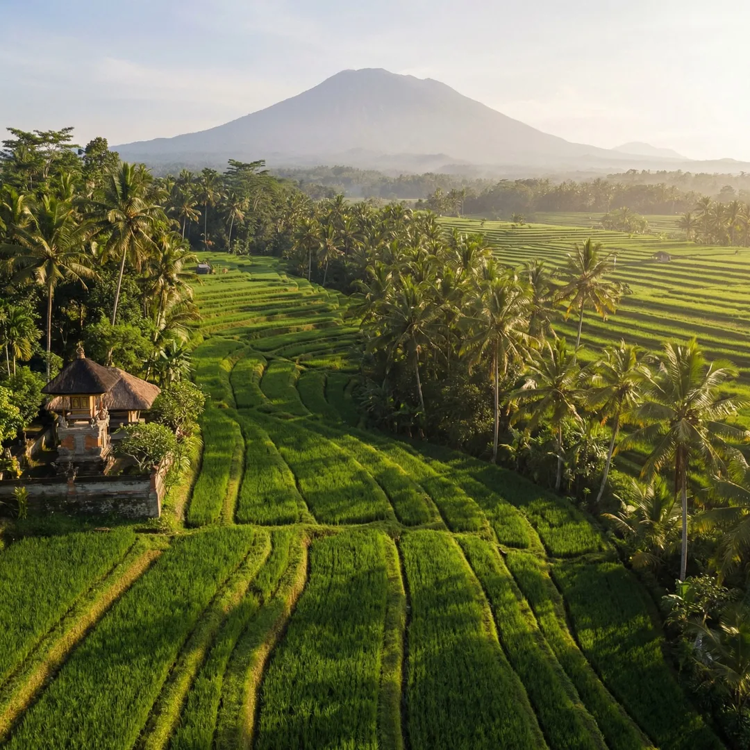 Termite damage costs 10-15x more to remediate than preventive soil treatment. In Gianyar's humid cli