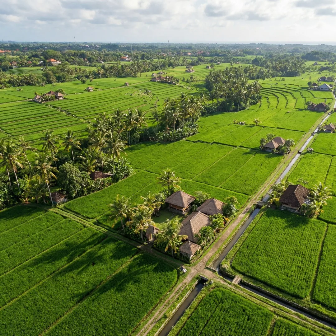 🌾 2,200m² Canggu Land | Rice Field Views

Established infrastructure and verified zoning make this 