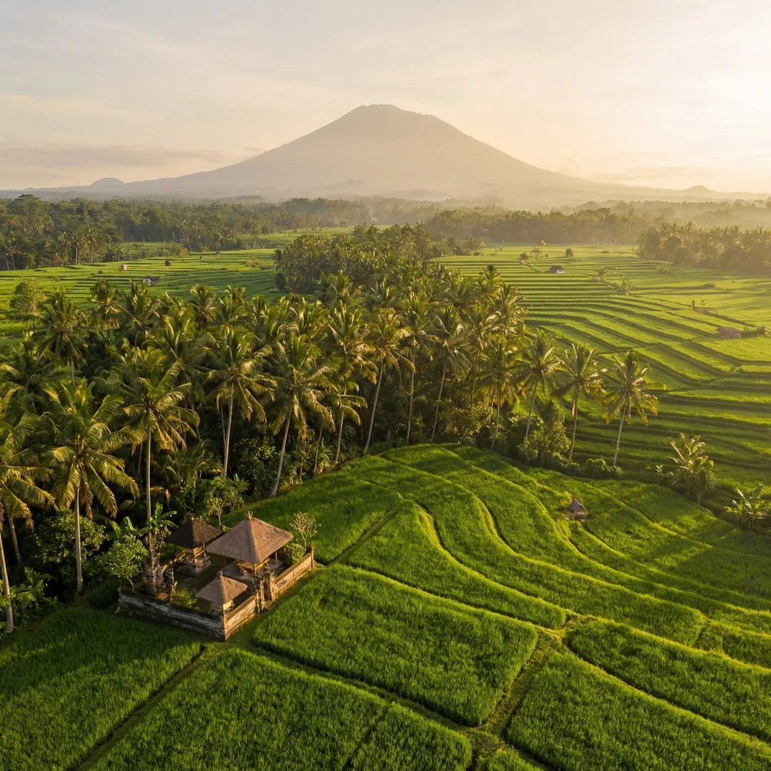 Lovina volcanic ash concrete delivers superior durability in Bali's tropical climate. Our guide cove
