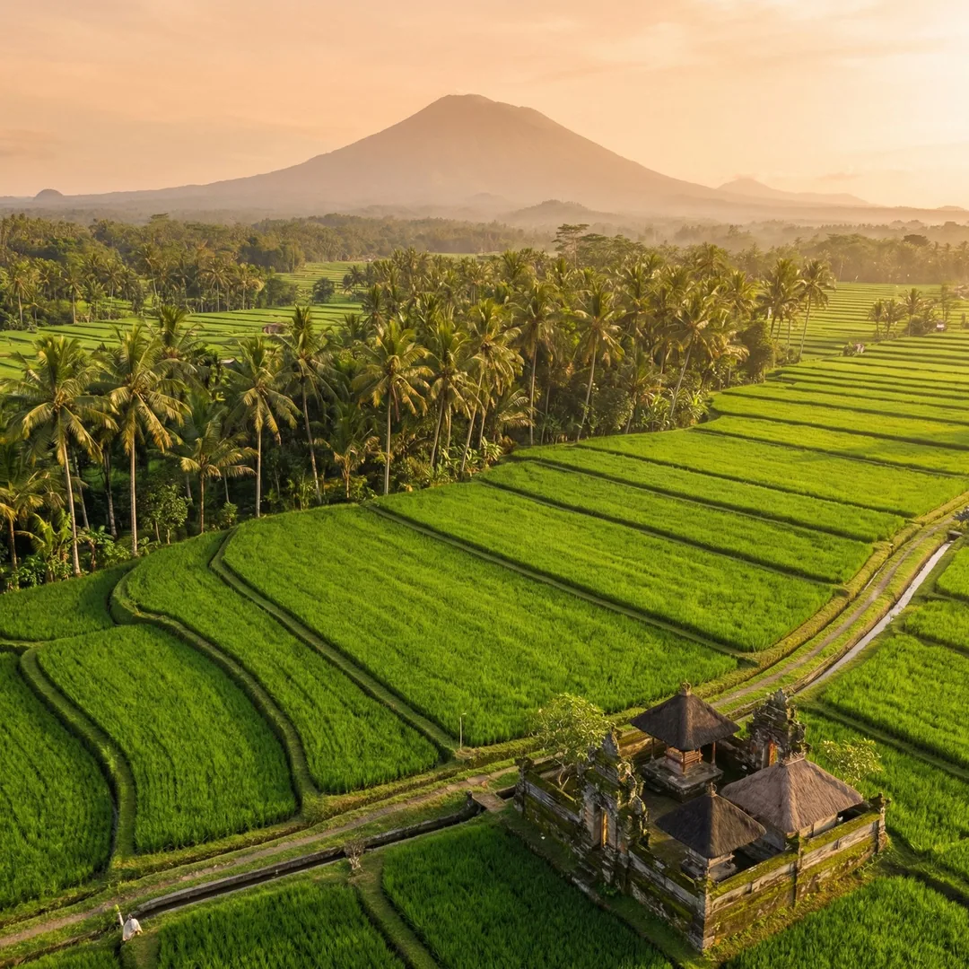 Termite damage costs 10-15x more to remediate than preventive soil treatment. In Gianyar's humid cli